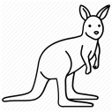 kangaroo_vector
